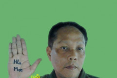 Palm Campaign 2015