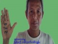 Saw Palae