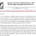 Statement of Opinion Regarding Definition of Political Prisoners